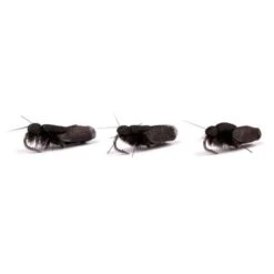 Nash Black Sedge Zig Bugs (Barbless)